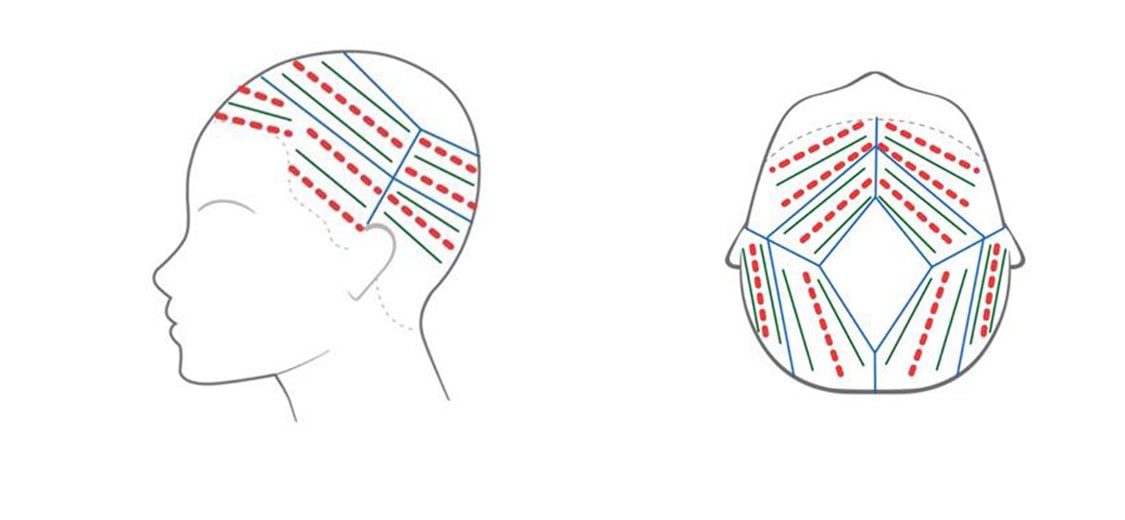 Wella Coral Glass Hair - Step 2 Wella Coral Glass Hair - Step 2